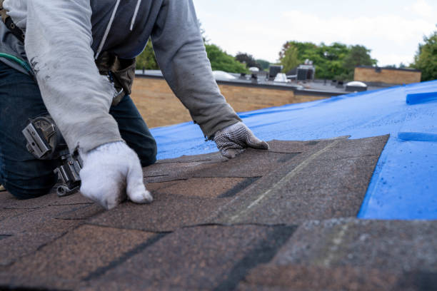 Best Best Roofing Contractors  in Lewiston, CA