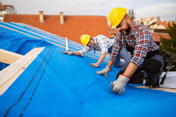 Best Roof Maintenance Services  in Lewiston, CA