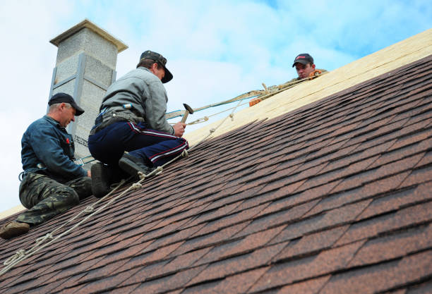 Quick and Trustworthy Emergency Roof Repair Services in Lewiston, CA
